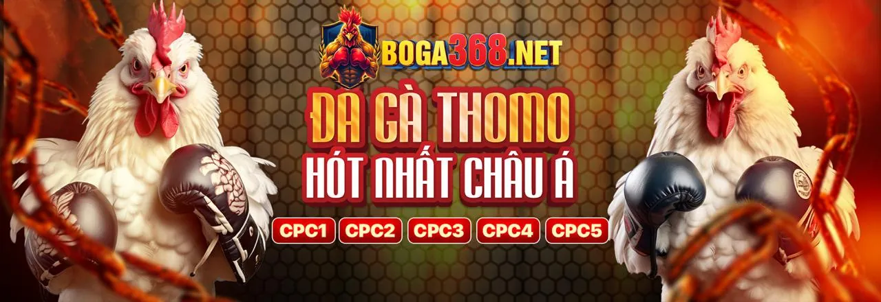 Đá gà trực tuyến kịch tính tại Sao789 APK